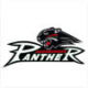 augsburger panther